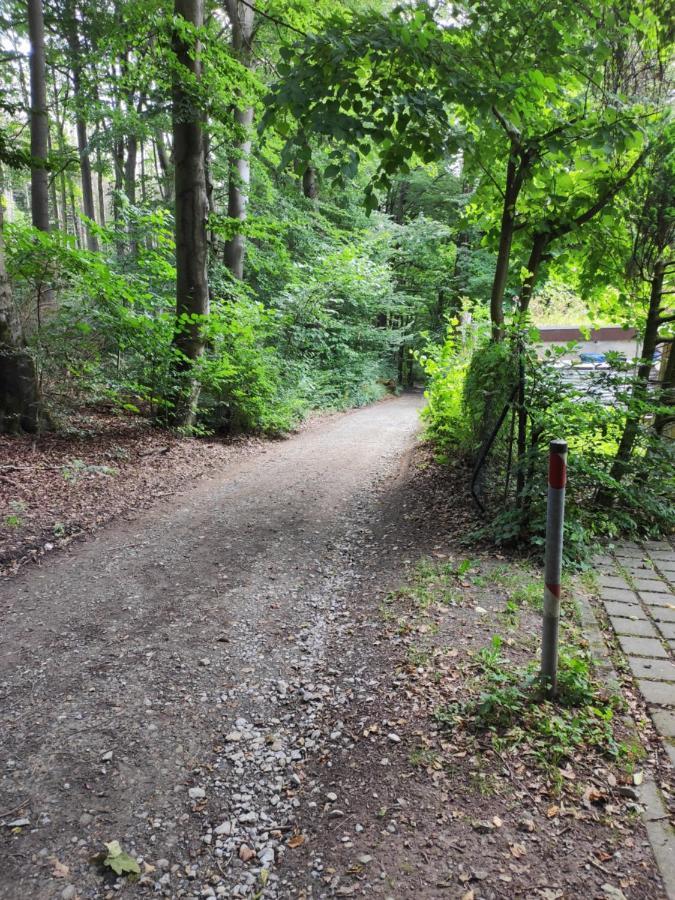 Waldblick Teutoburger Wald *